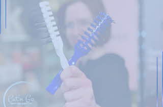 bilde av føhnbørst