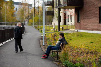 Sitter på krakken og ser på utsikten