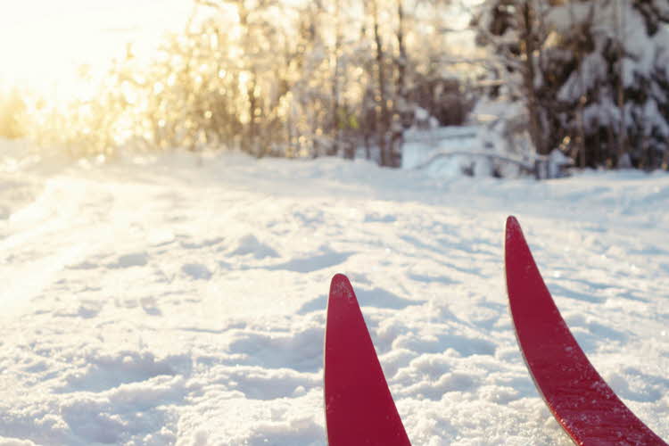 tuppen av et par ski som ligger på snøen i solskinn