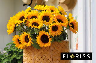 Gule blomster i bukett