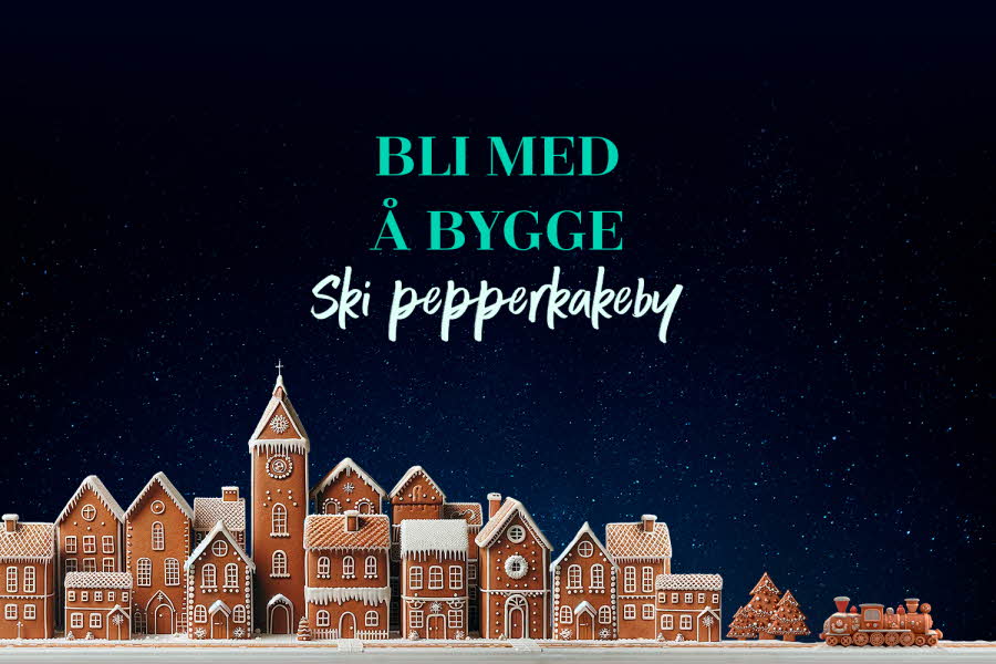 Ski pepperkakeby aktivitetsbilde