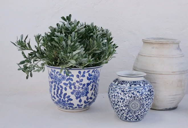 Tre forskjellige vaser og potter, med én som har en plante i seg