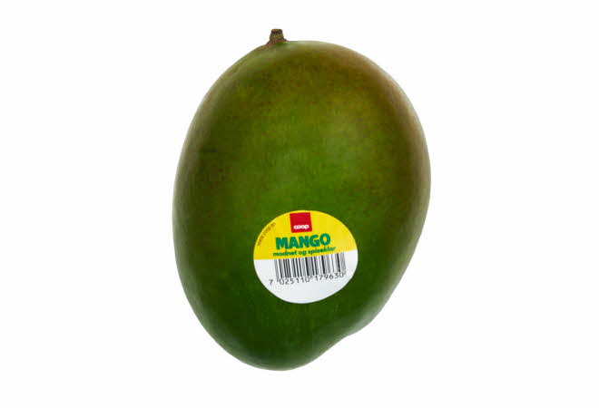 En stor spisemoden mango.