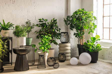 Et hjørne av et rom fylt med planter og potter
