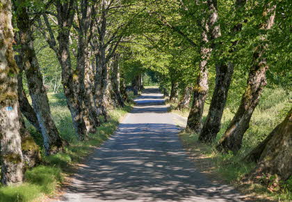 Områdebilde fra Vestby og omegn