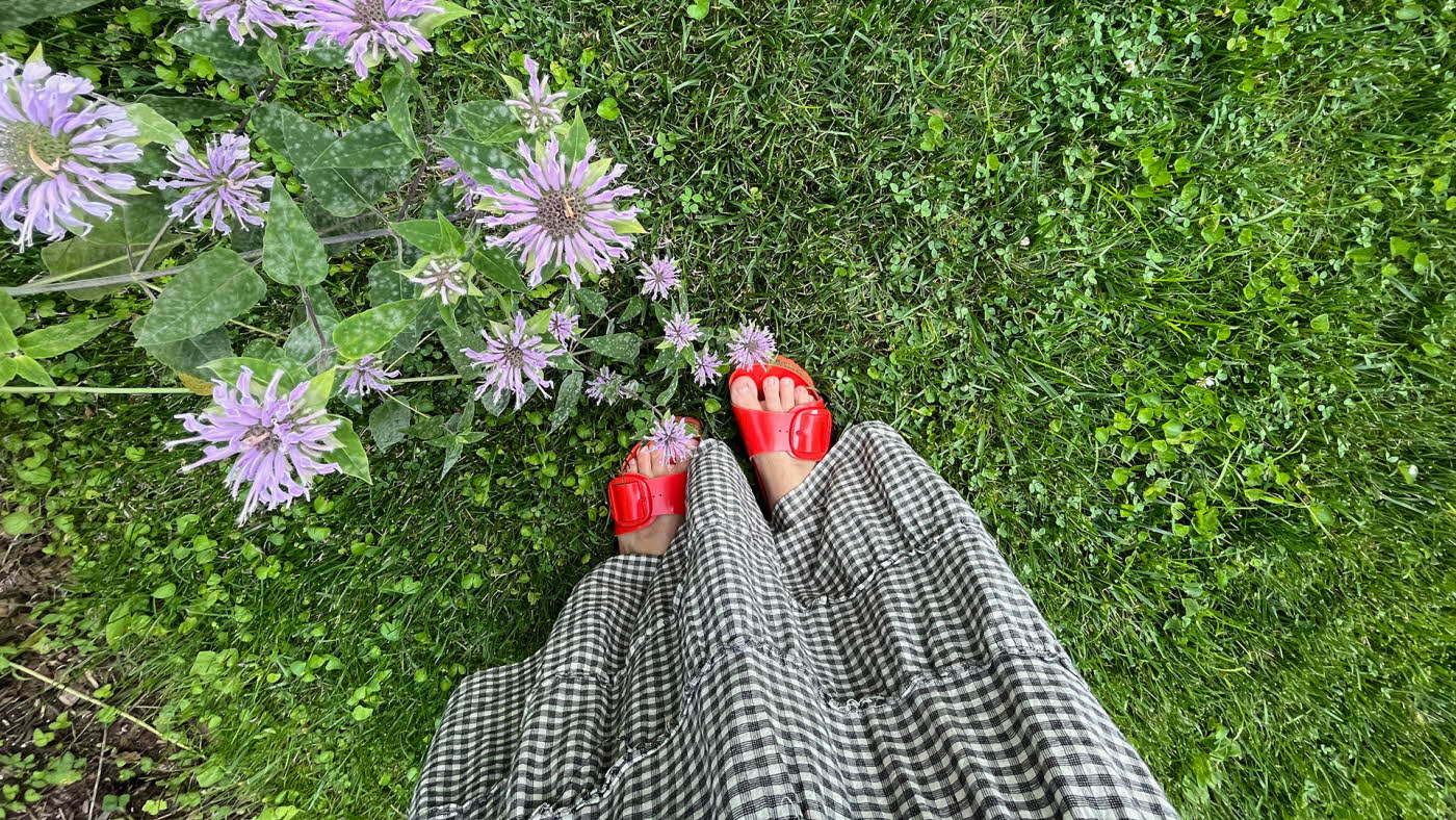 Rutete skjørt og rød sandaler sett ovenfra med grønt gress og lilla blomster i bakgrunnen